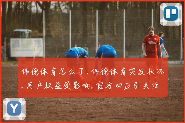 伟德体育怎么了,伟德体育突发状况,用户权益受影响,官方回应引关注