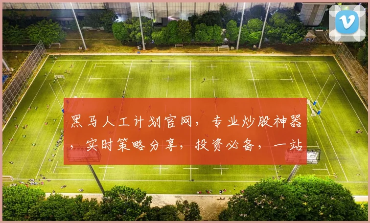 黑马人工计划官网，专业炒股神器，实时策略分享，投资必备，一站式服务，三重保障，助力您投资无忧。