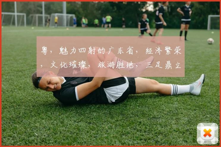 粤，魅力四射的广东省，经济繁荣，文化璀璨，旅游胜地，三足鼎立，一省独大