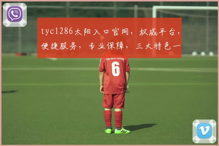 tyc1286太阳入口官网，权威平台，便捷服务，专业保障，三大特色一网打尽