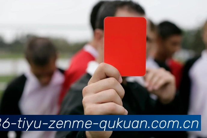 App 展示图